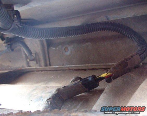 Wire Unclipped.JPG